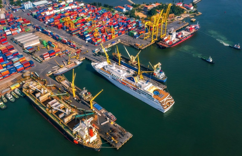 Cách tra cứu cont cảng Đà Nẵng