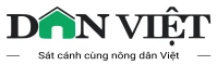 dan viet